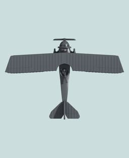 1:144 Anatra DS 3d model