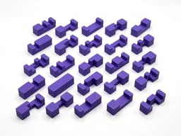 25-Piece Burr Puzzle Set with Box 3d model
