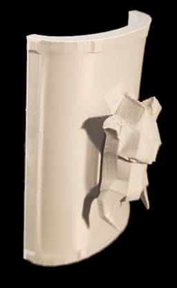 BoarShield.stl 3d model