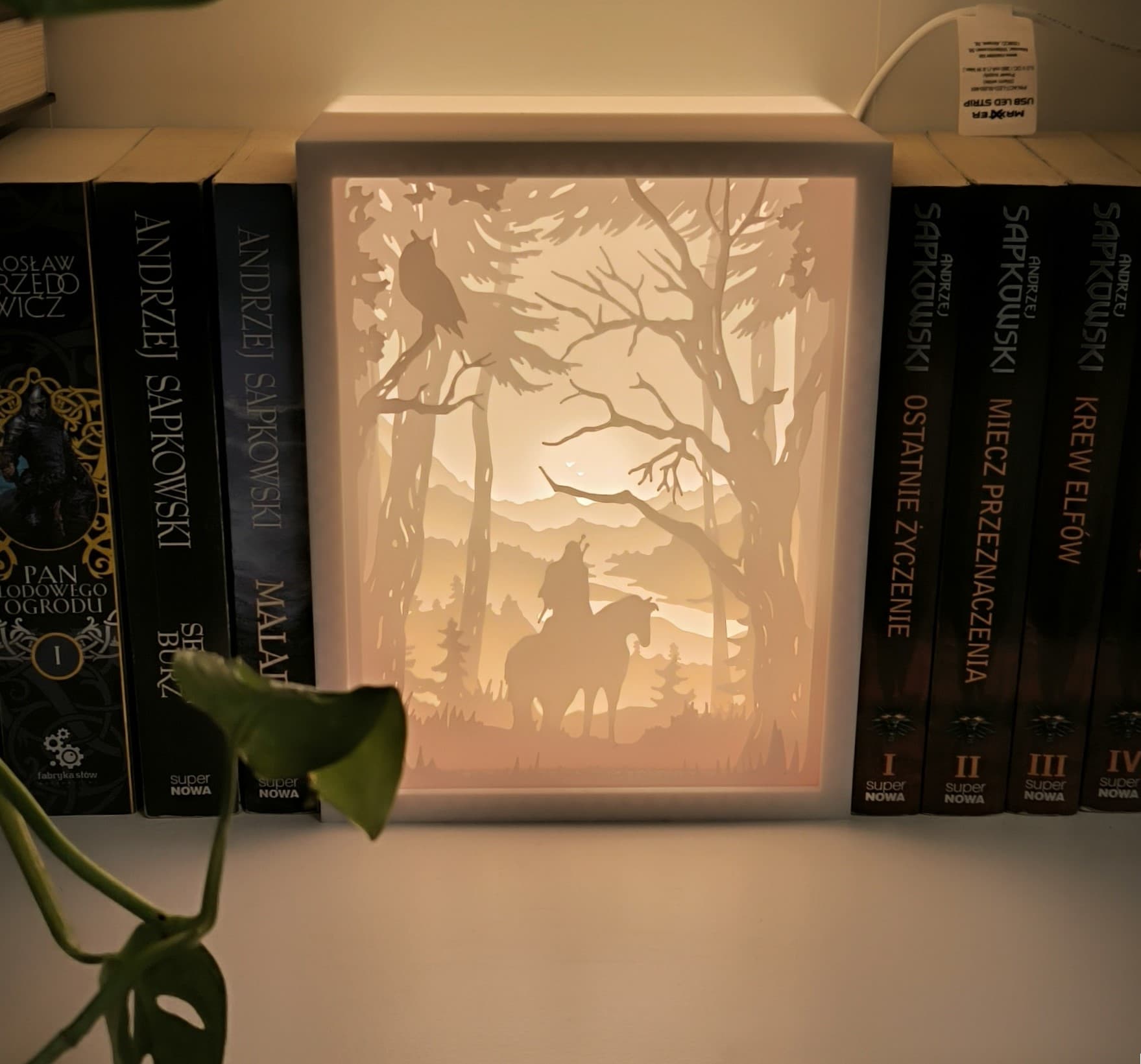 The Witcher Shadow Box Lamp 3d model