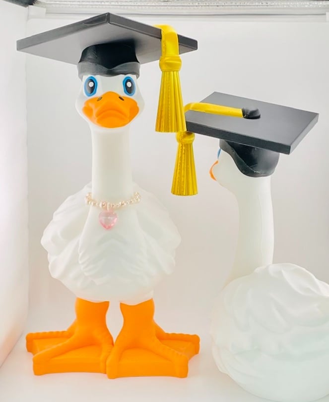 Graduation Cap Goose Gear for Porch Goose 3d model