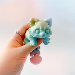 Raccoon Flexi 3d model