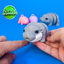 Baby Hippo 3d model