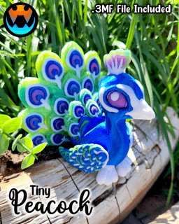 Tiny Peacock 3d model