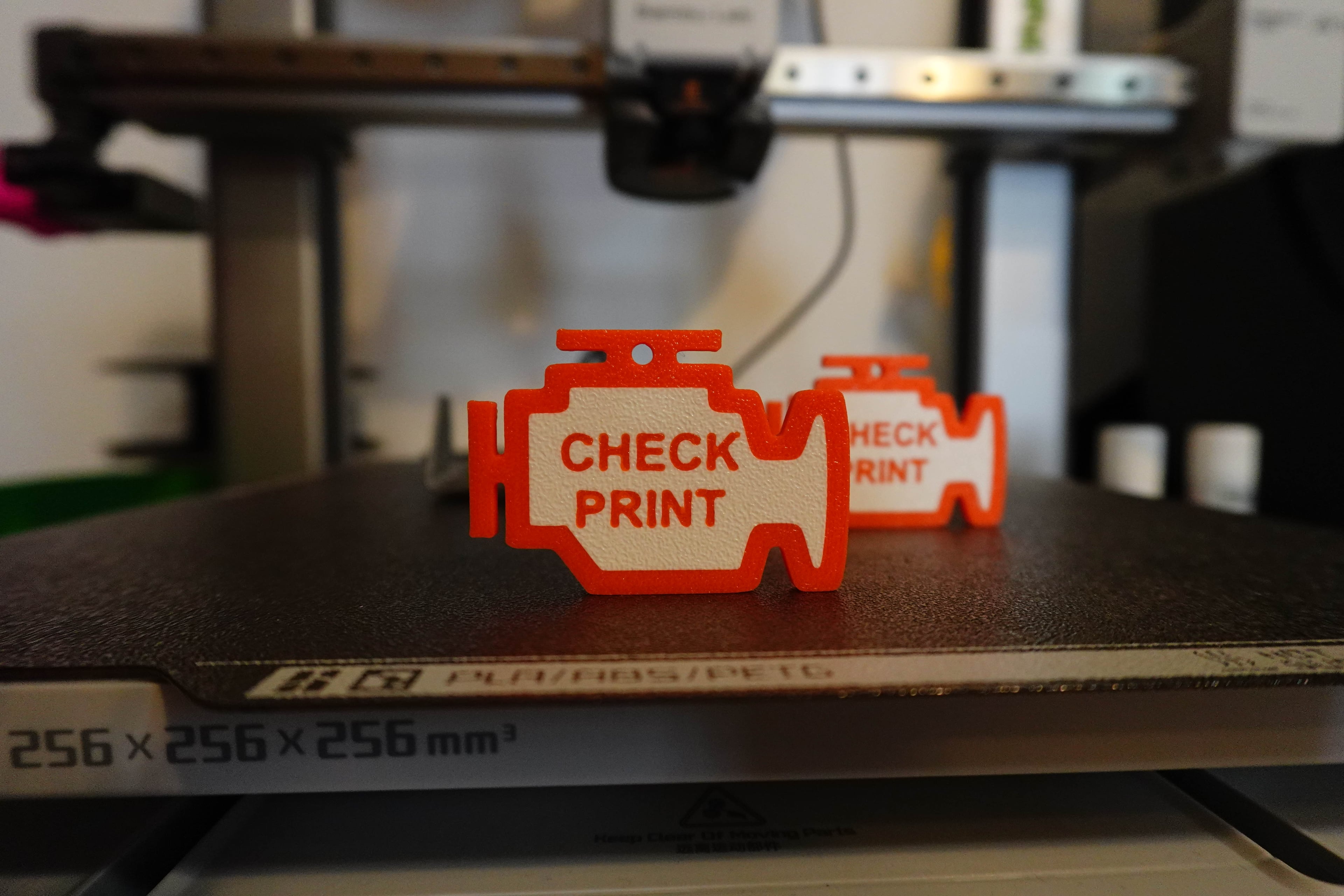 Check Print Keychain 3d model