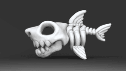 Shark_Skeleton 3d model