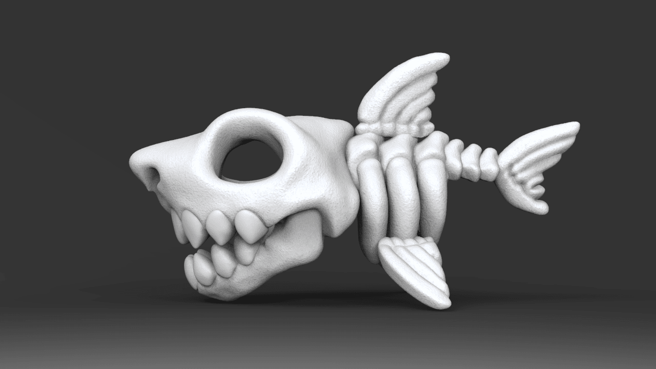 Shark_Skeleton 3d model