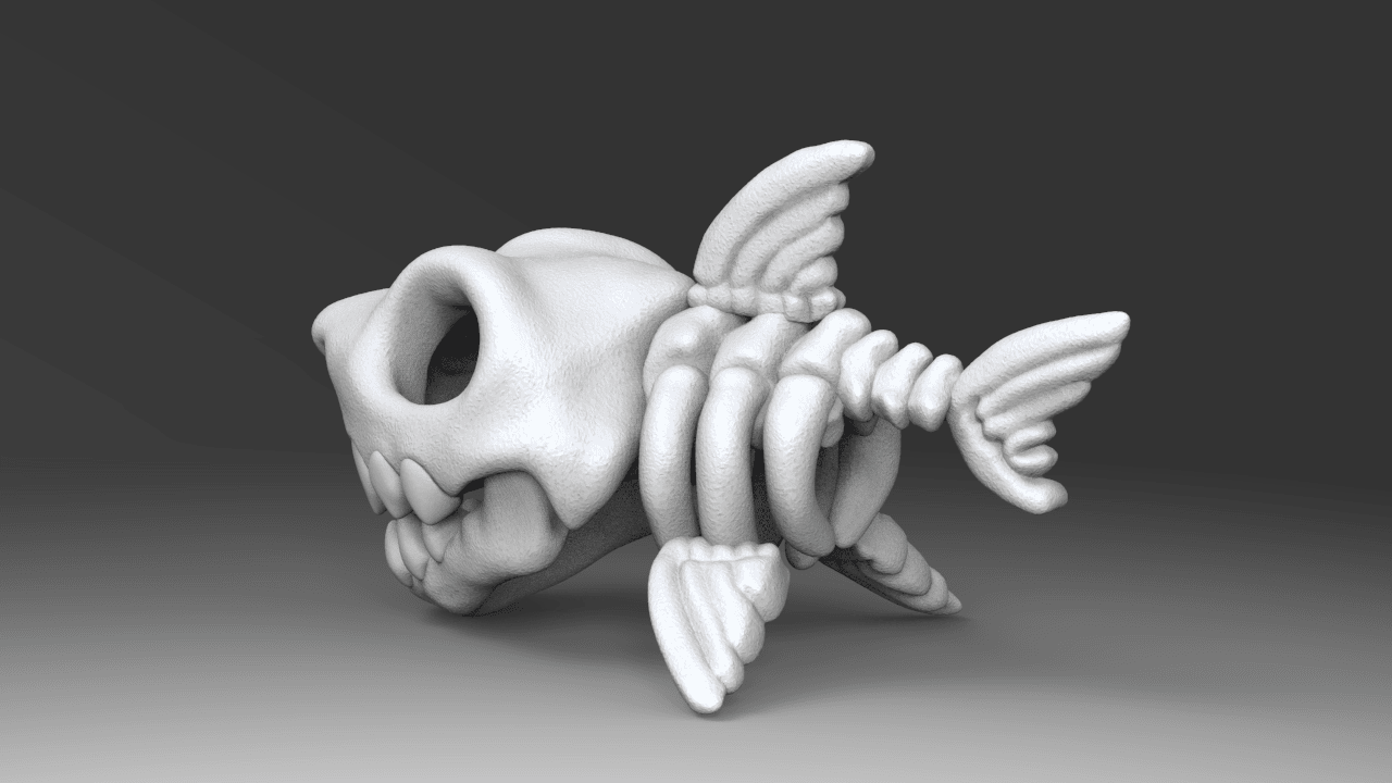 Shark_Skeleton 3d model