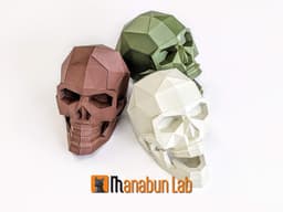Low Poly Skull Magnet Puzzle (No supports) 3d model