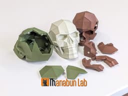 Low Poly Skull Magnet Puzzle (No supports) 3d model