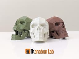 Low Poly Skull Magnet Puzzle (No supports) 3d model