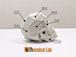 Low Poly Skull Magnet Puzzle (No supports) 3d model