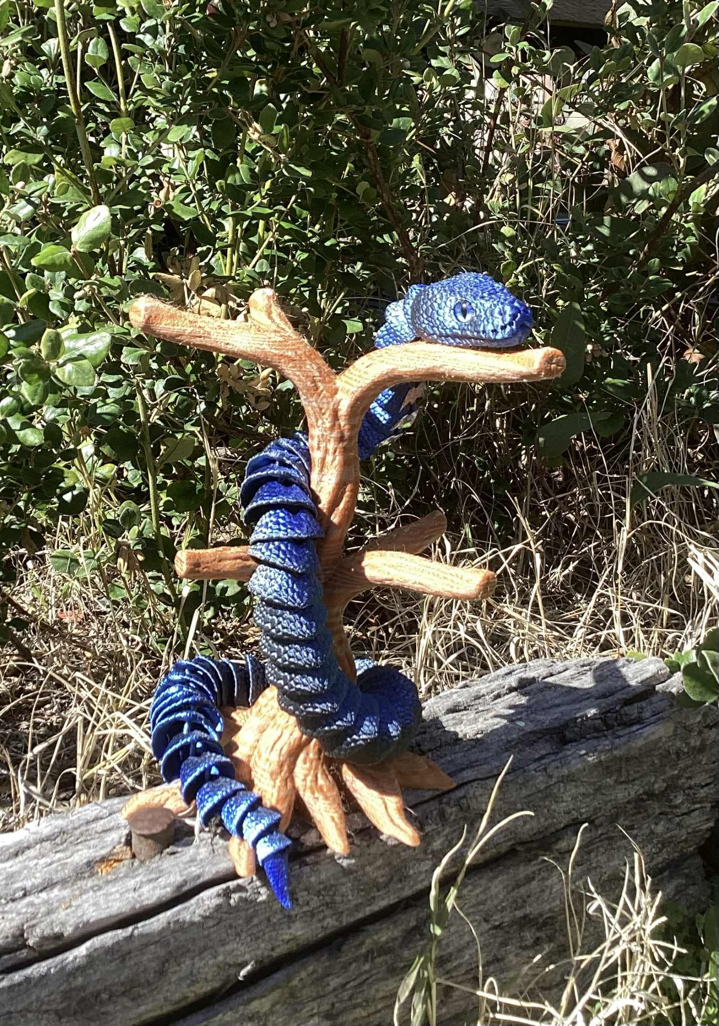 At home on his new display stand