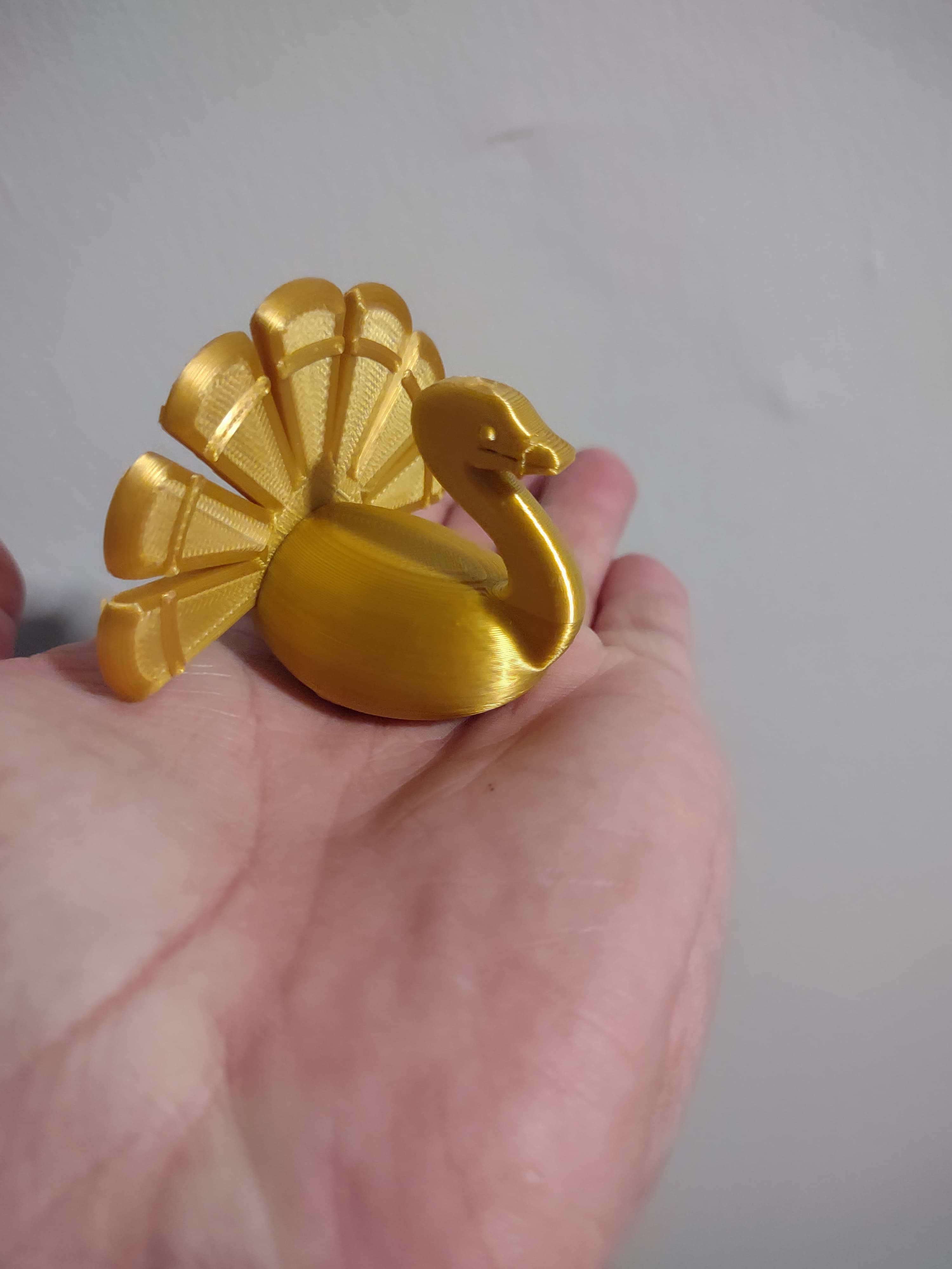 Tiny Turkey 3d model