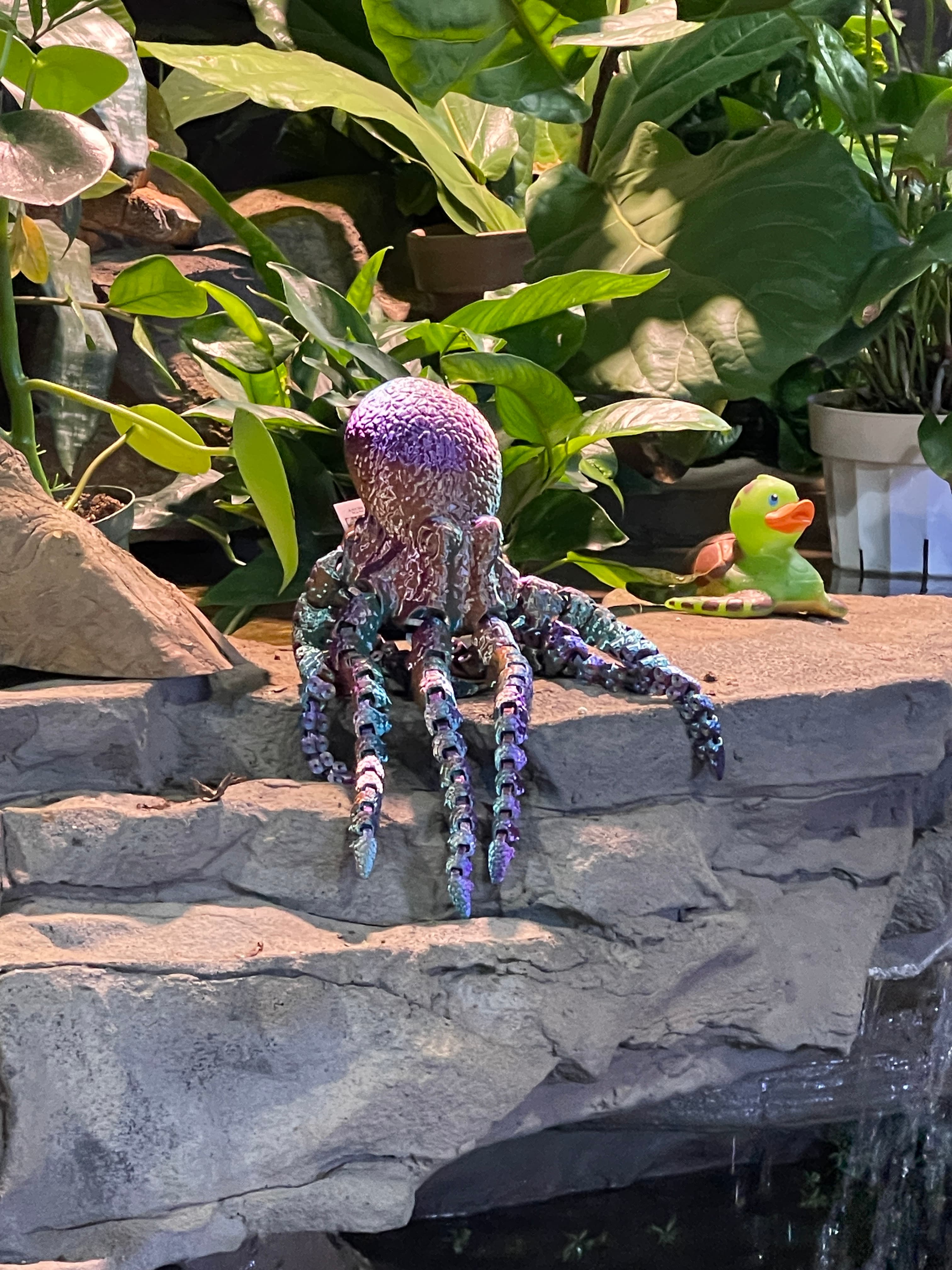 Almost literally, I found these in the 'wild' yesterday at a local exotic pet store.