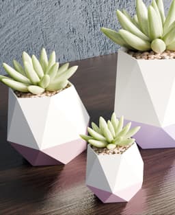 DuoFacet Pots 3d model