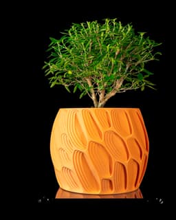 Ringo Planter Pot by MODERN MACHINE 3d model