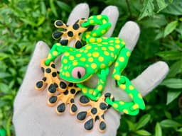 ARTICULATED FROG PACK (5 FROGS) 3d model