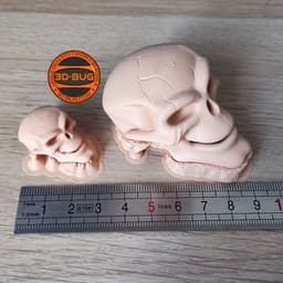 Skeleton Warrior Collectible 3d model