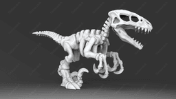 Cute Raptor Skeleton 3d model