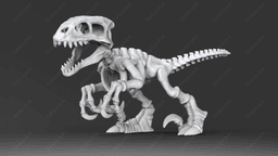 Cute Raptor Skeleton 3d model