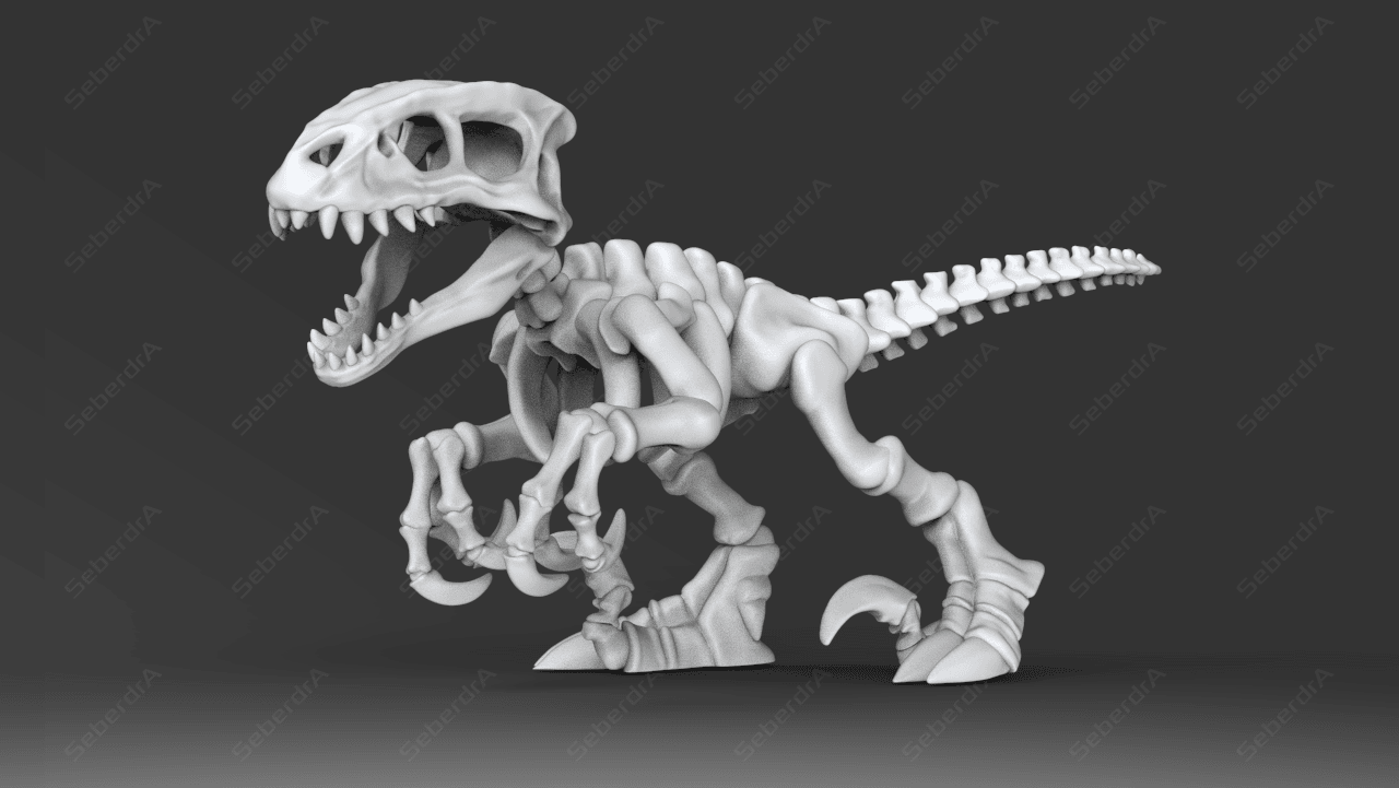 Cute Raptor Skeleton 3d model