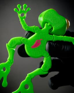 Dissected Frog - Fridge Magnet 3d model