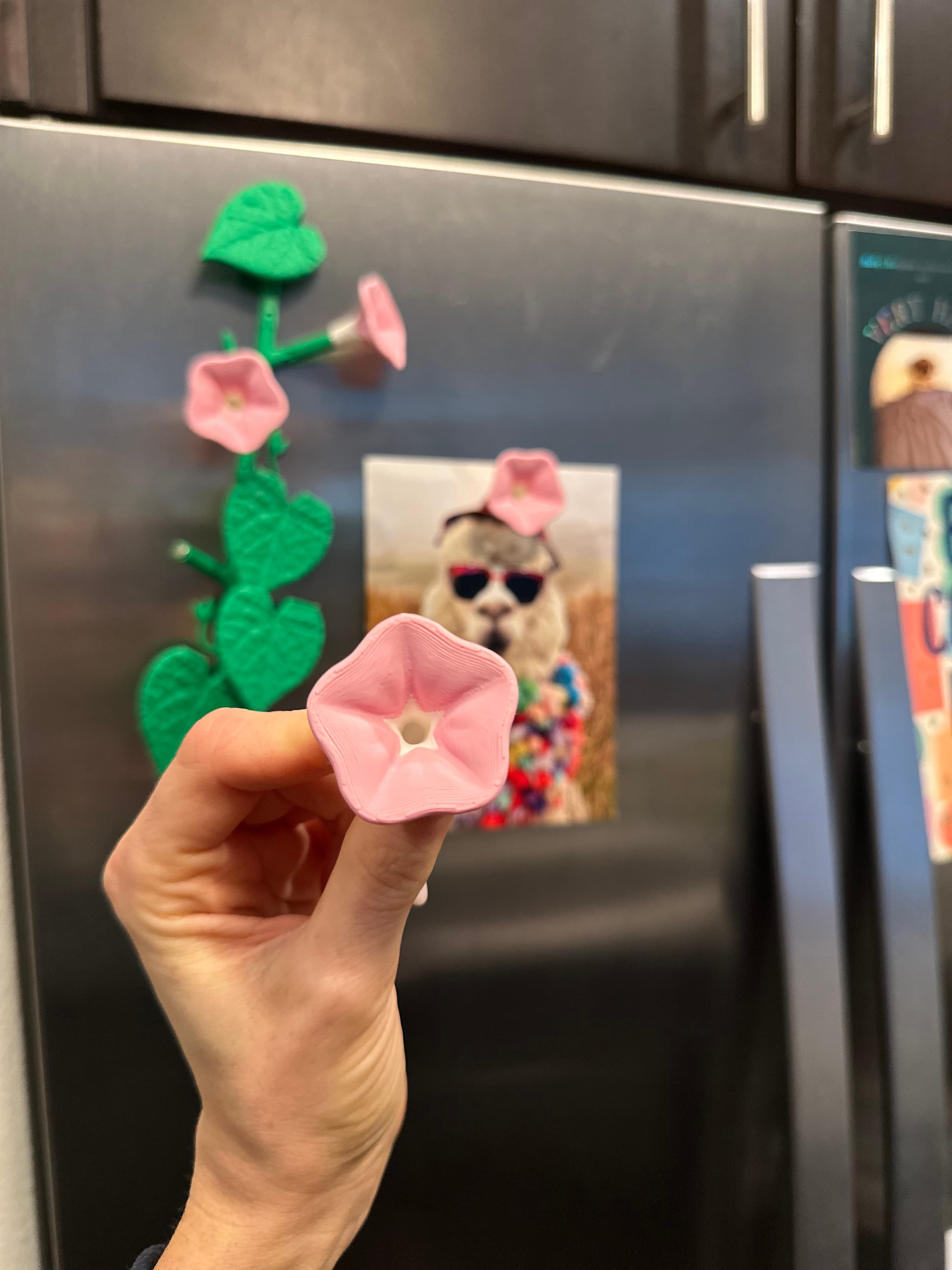 Morning Glory Magnets - Print super cleanly! No issues. I think you'll definitely want a tool to insert the magnets cleanly because by hand was kind of tricky.
Also selling this on my storefront now if you want to check it out! - 3d model