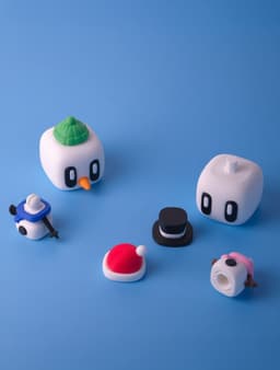 SnowCoobs 3d model