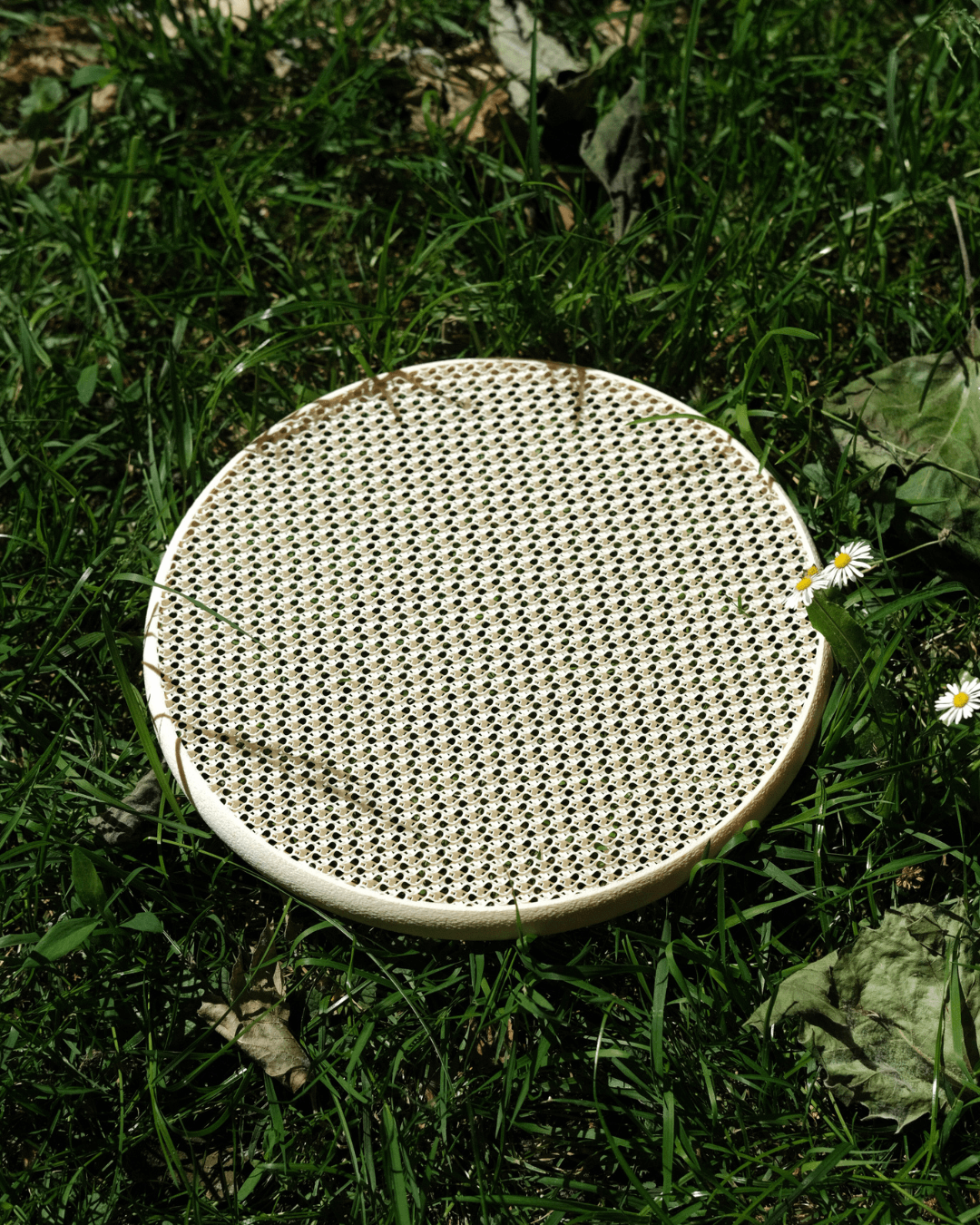 Frisbee 3d model