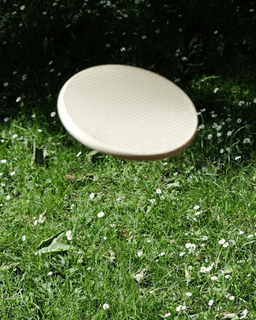Frisbee 3d model