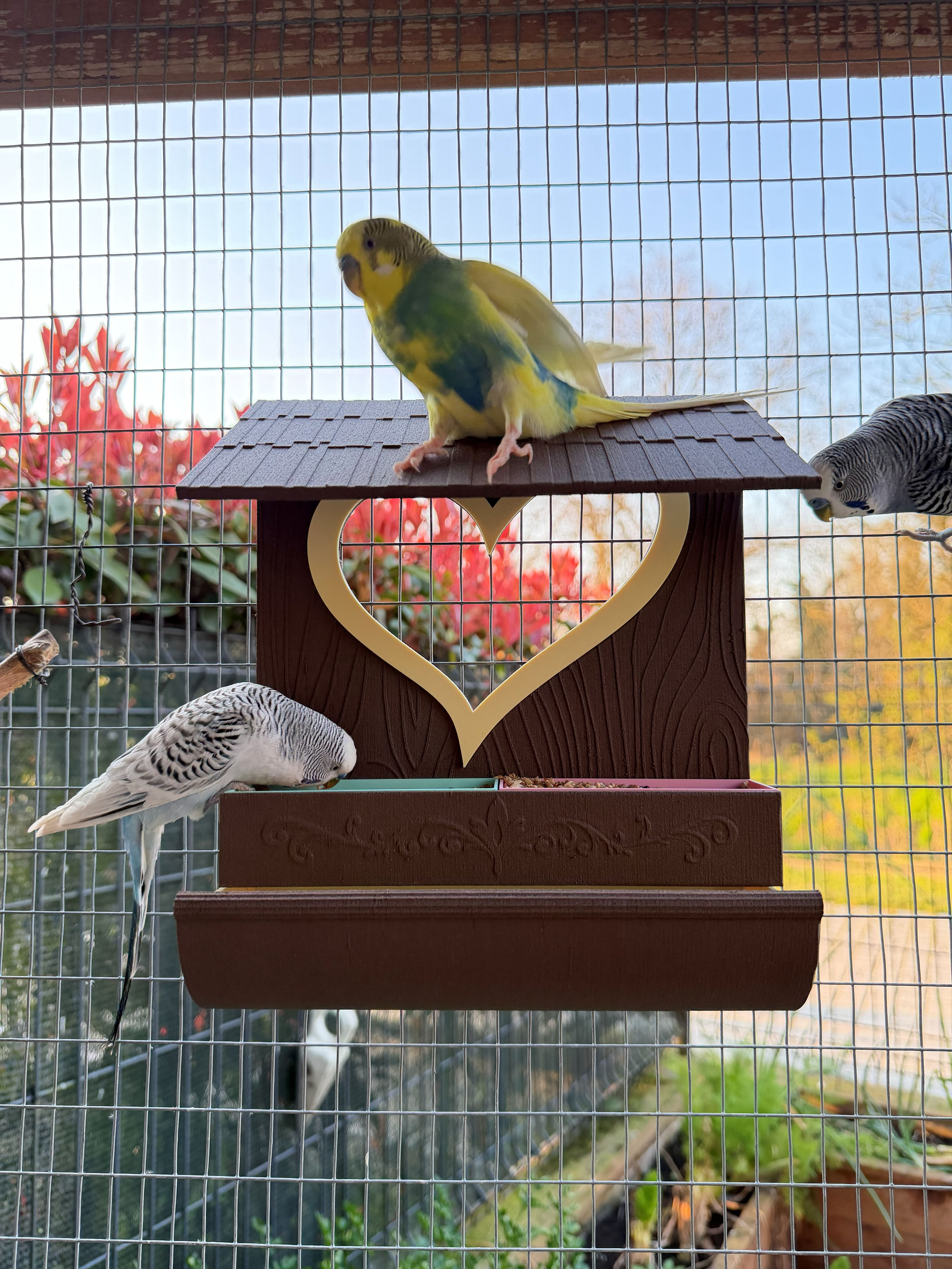 Bird feeder 3d model