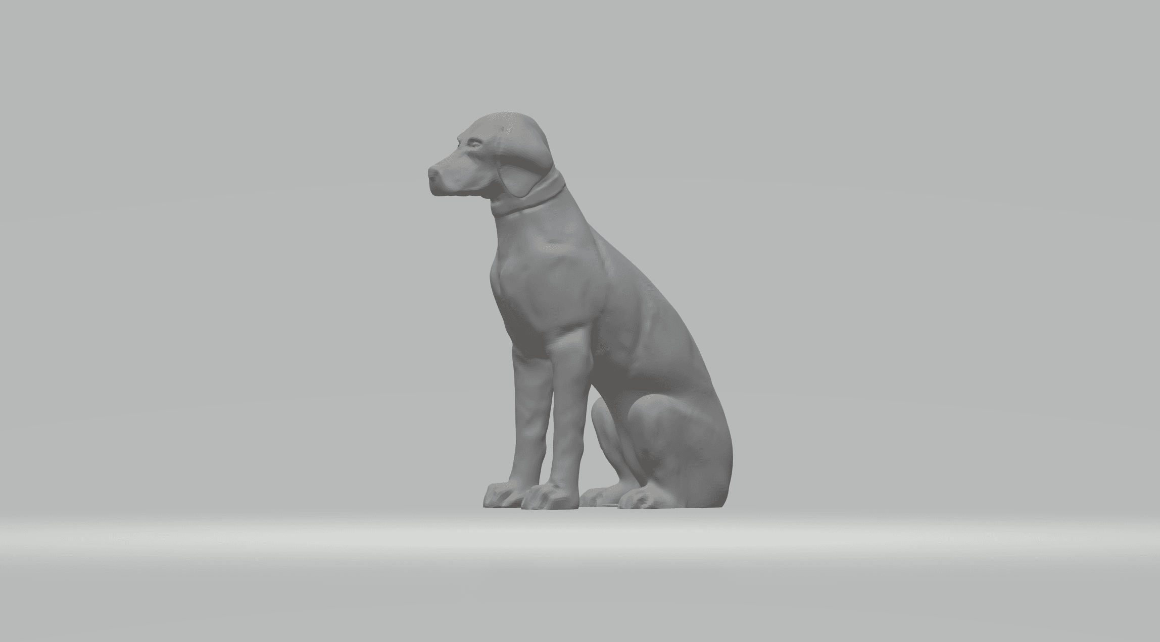 Labrador Retriever 3d model