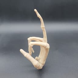 SKELETON HAND MIDDLE FINGER 3d model
