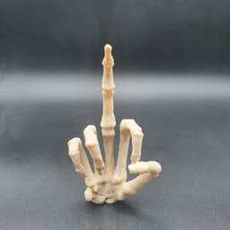 SKELETON HAND MIDDLE FINGER 3d model