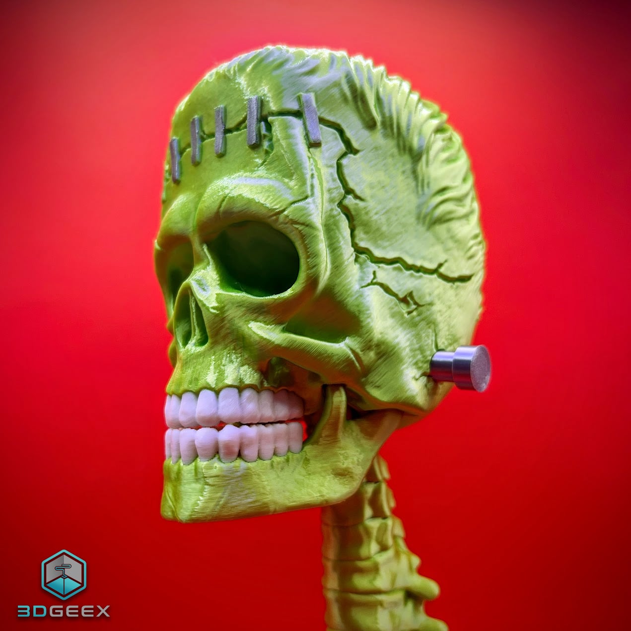 Frankenstein's Skull 3d model