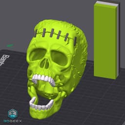 Frankenstein's Skull 3d model