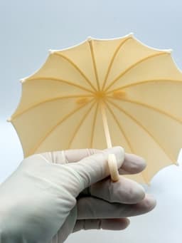 Bunny Ears Umbrella 3d model