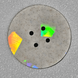 Buttons for Sewing 3d model
