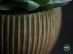 tundra · planter 3d model