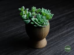 tundra · planter 3d model