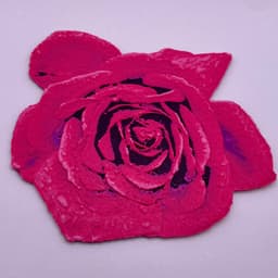 HueForge Rose 3d model