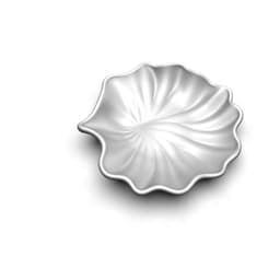 Sea shell 3d model