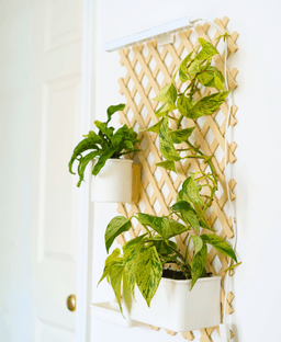Botanical Bundle for Trellis 3d model