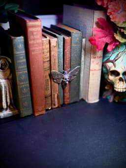 Skull moth spine hugger 3d model
