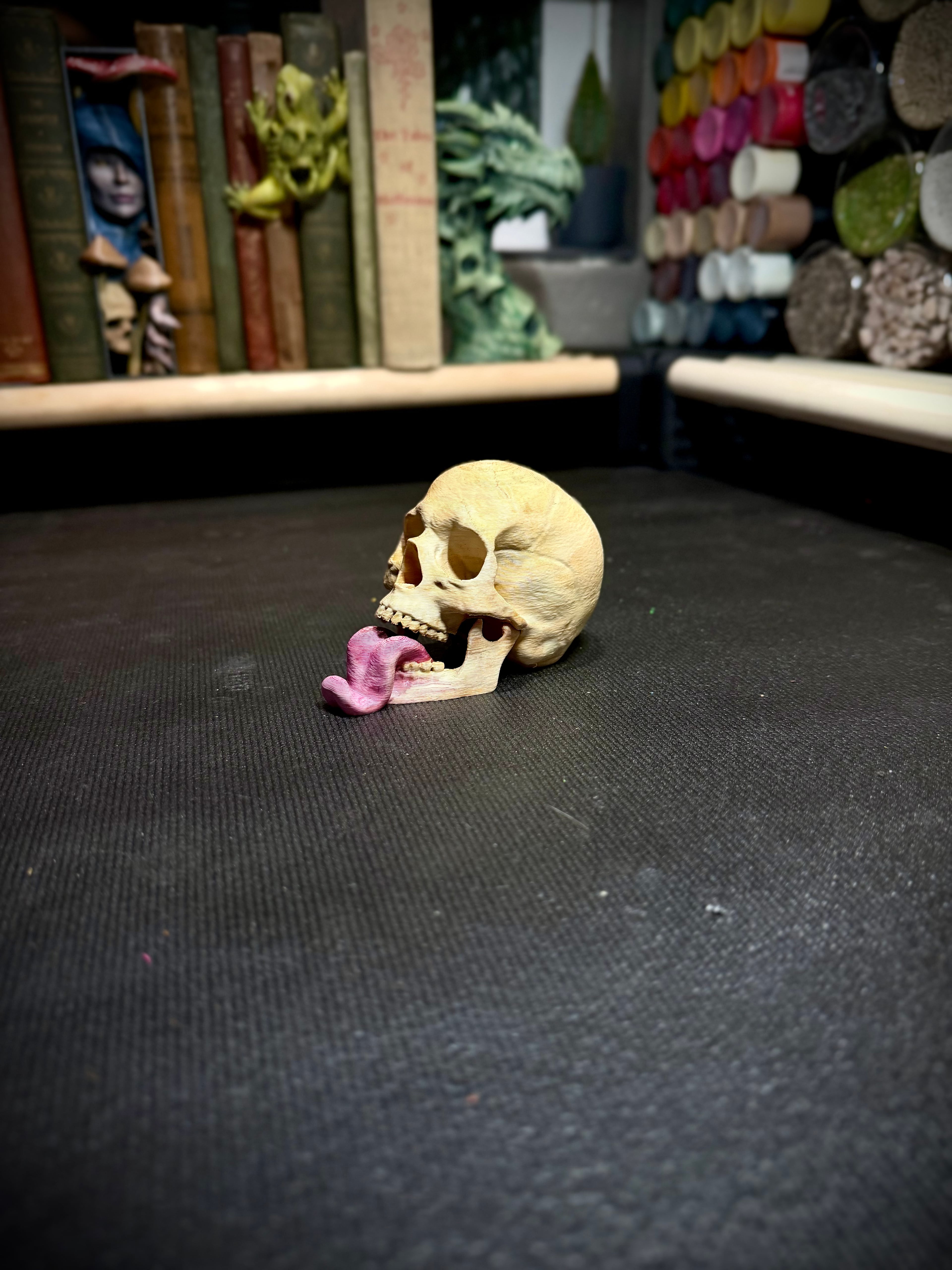 Skull card holder 3d model