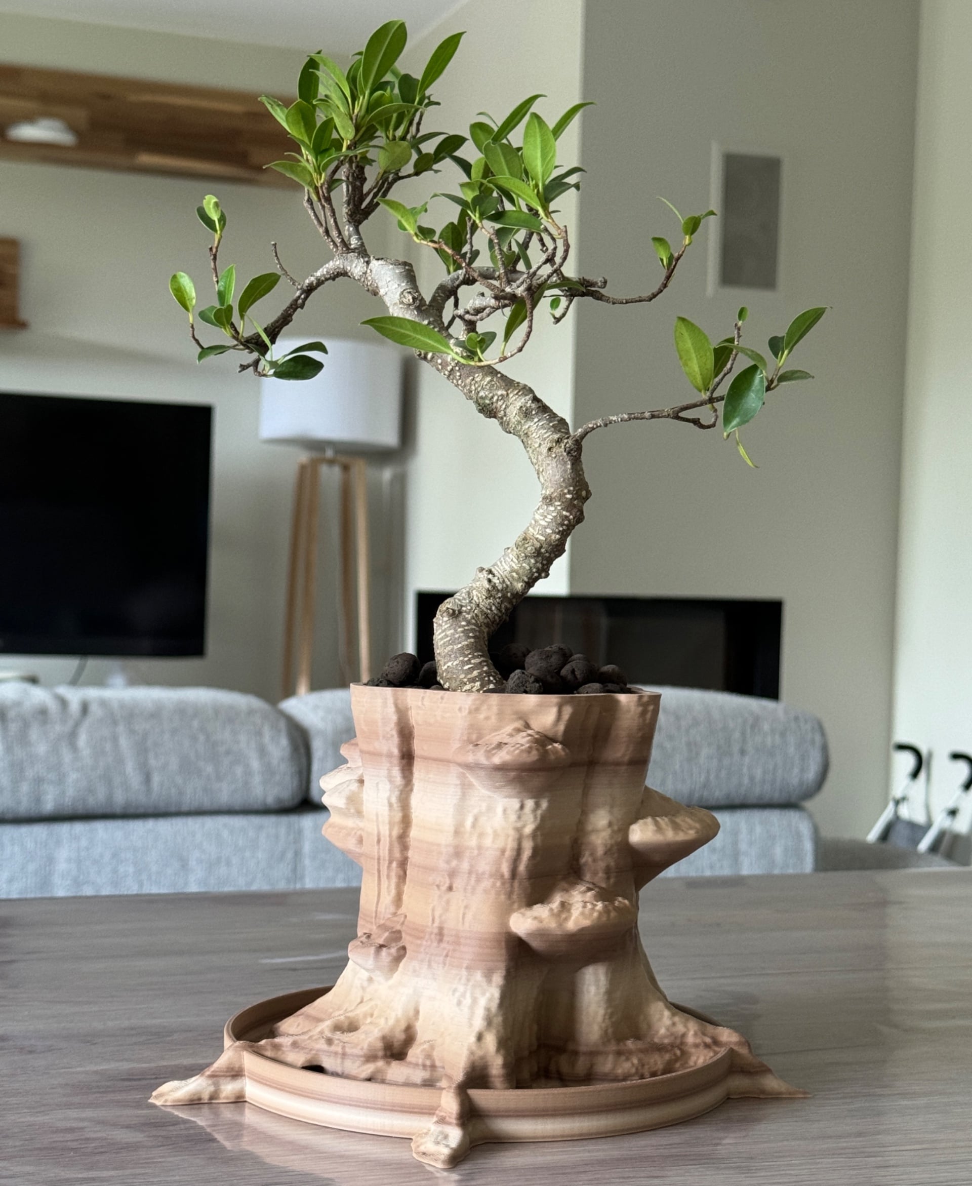 Incredible planter with wood like filament for a Bonsai