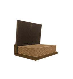 Guardian Dragon Book Box 3d model