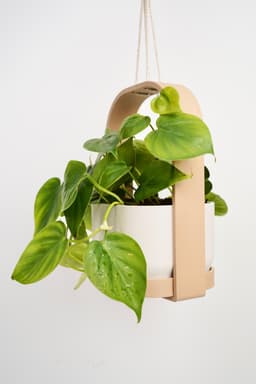 HANGIS Hanging Planter I Frame Planter 3d model