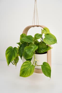 HANGIS Hanging Planter I Frame Planter 3d model